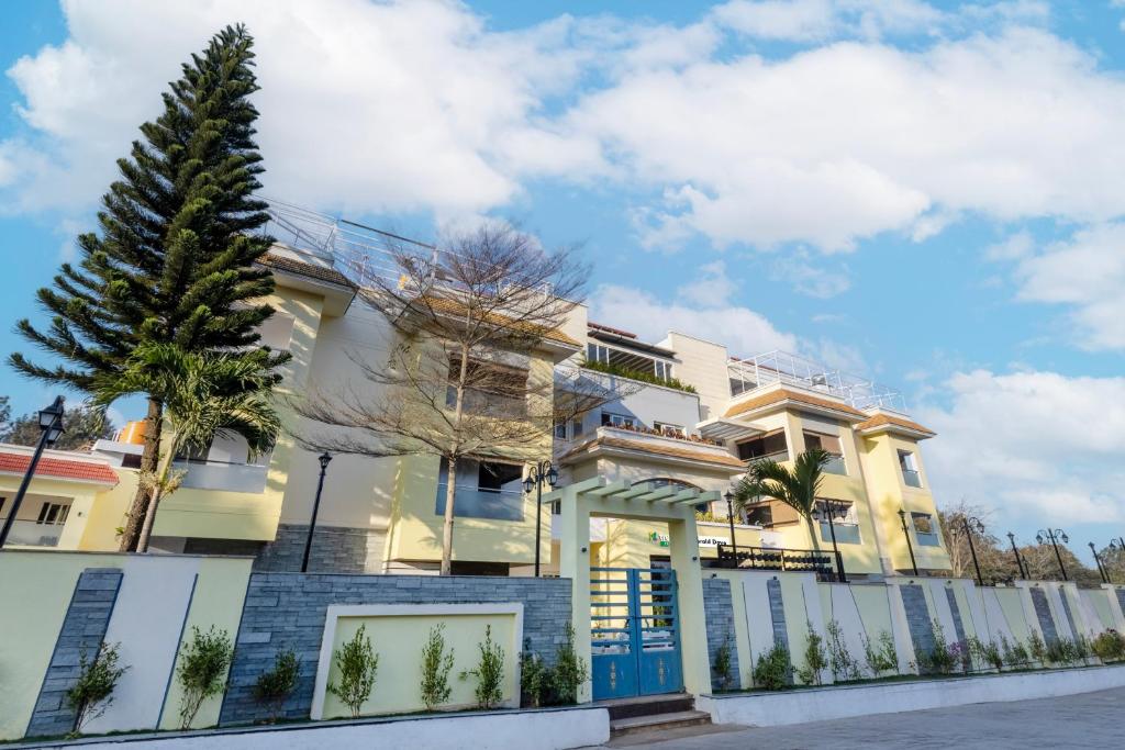 Treebo Premium Emerald Dove